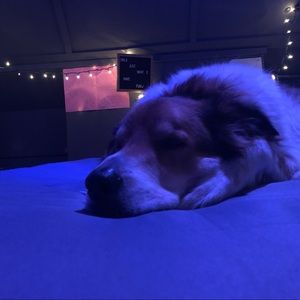 Meet your Posher, Fran